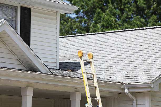 Best Siding Painting and Refinishing  in Mcnair, VA